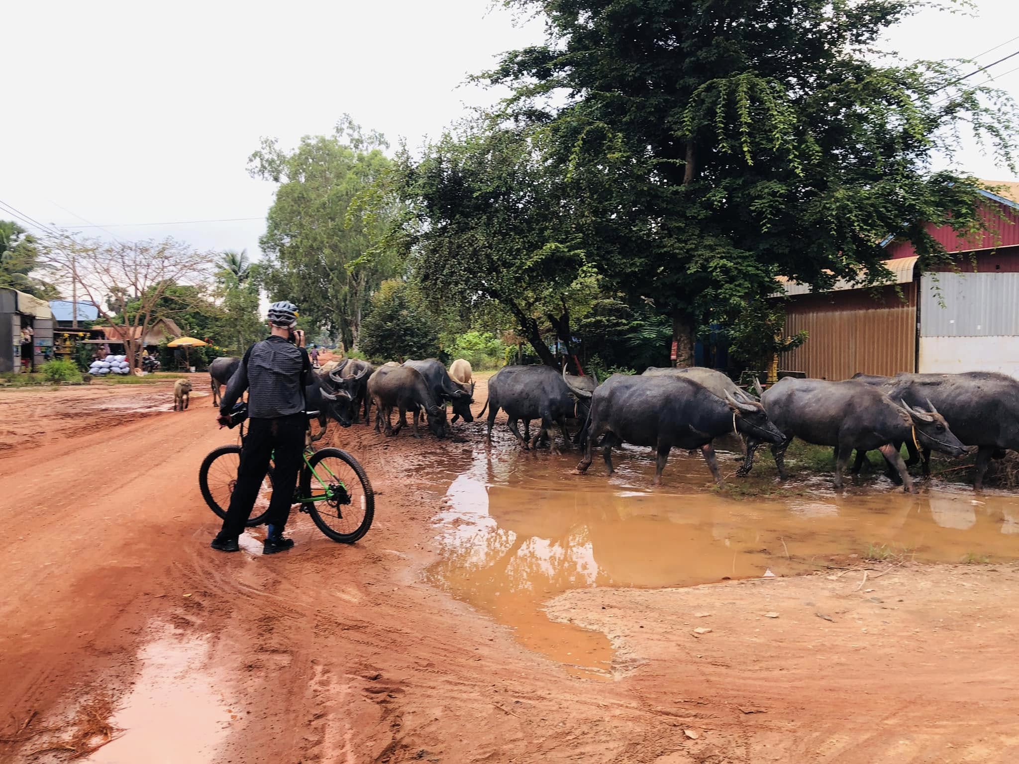 Siem Reap Cycling Tour 2 Days